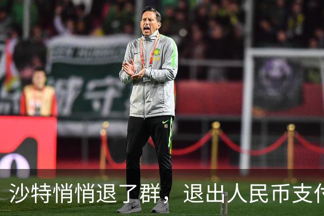 沙特悄悄退了群，退出人民币支付？真相扎心：根本没想跟美元翻脸