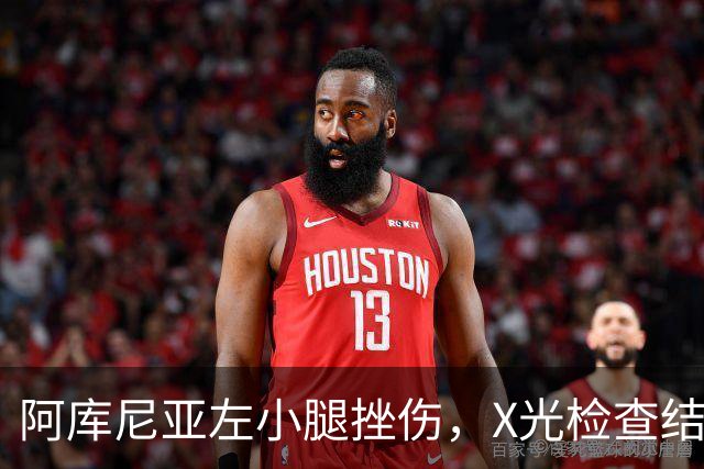 阿库尼亚左小腿挫伤，X光检查结果为阴性